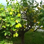 Via Vulcano Trapani