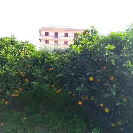 Lägenhet Via Vulcano