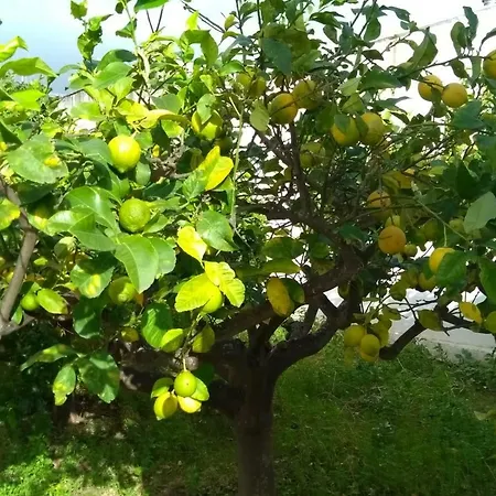 Via Vulcano Trapani